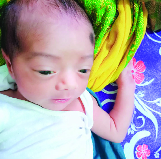 Image of মো: রবিউল ইসলাম